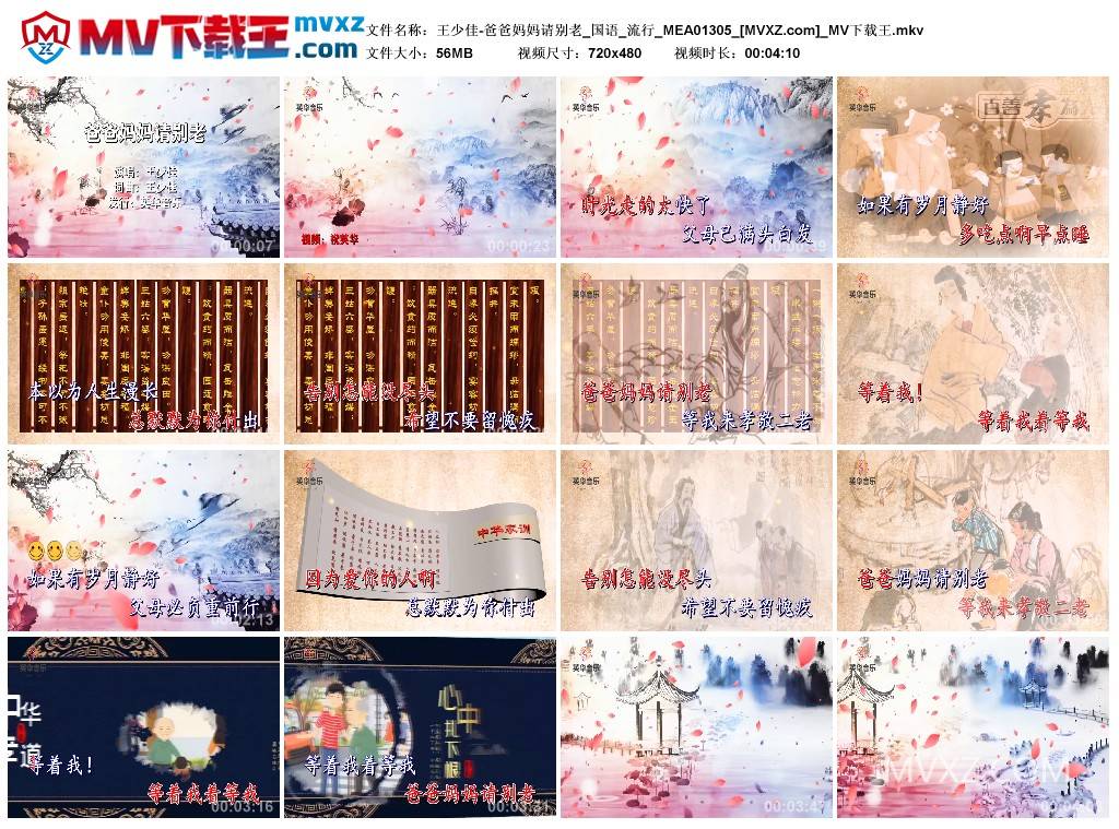 王少佳-爸爸妈妈请别老_国语_流行_MEA01305